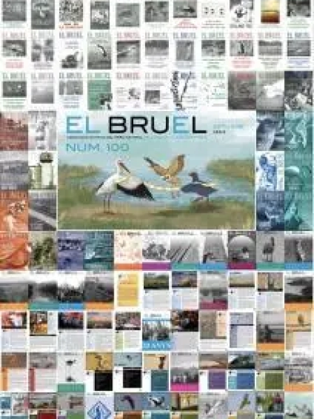 Bruel 100. Estiu 2019