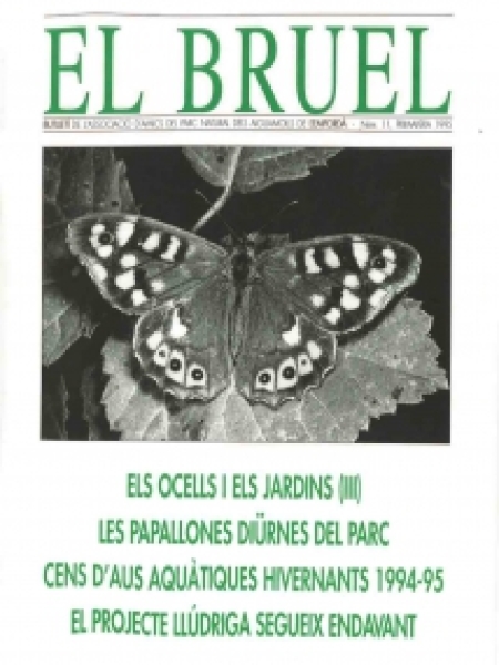 Bruel 11. Primavera 1995