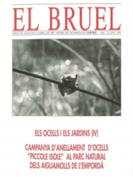 Bruel 12. Estiu de 1995