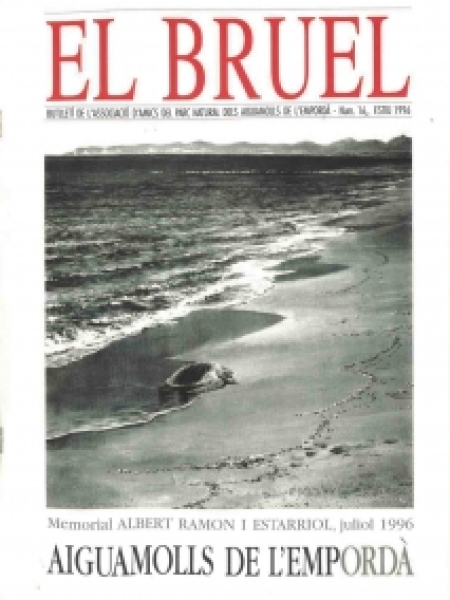 Bruel 16. Estiu 1996