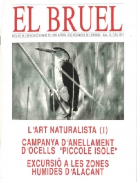 Bruel 20. Estiu 1997