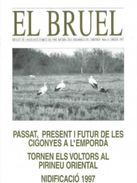 Bruel 21. Tardor 1997