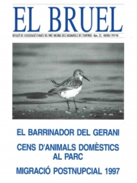 Bruel 22. Hivern 1997-1998