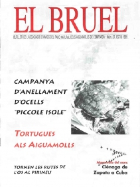 Bruel 27. Estiu 1999