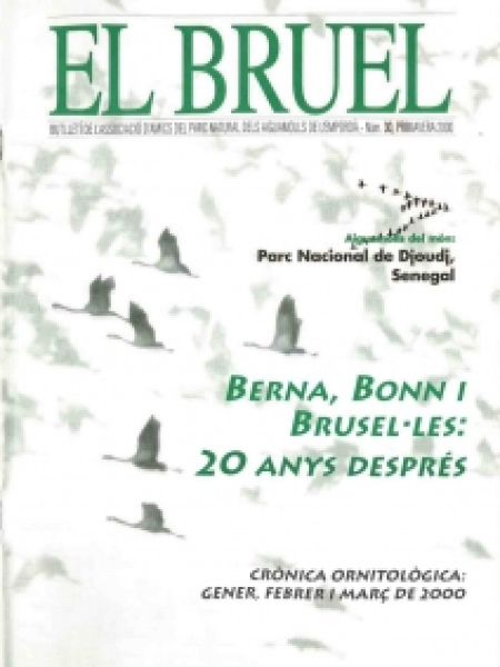 Bruel 30. Primavera 2000