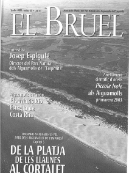 Bruel 43. Tardor 2003