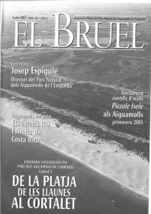 Bruel 43. Tardor 2003