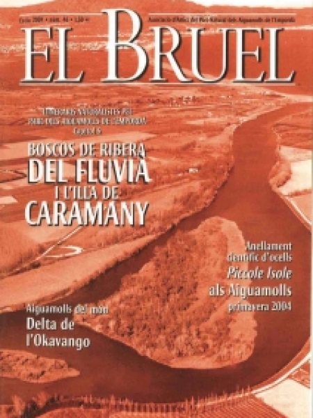 Bruel 46. Estiu 2004