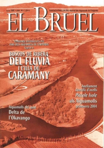 Bruel 46. Estiu 2004