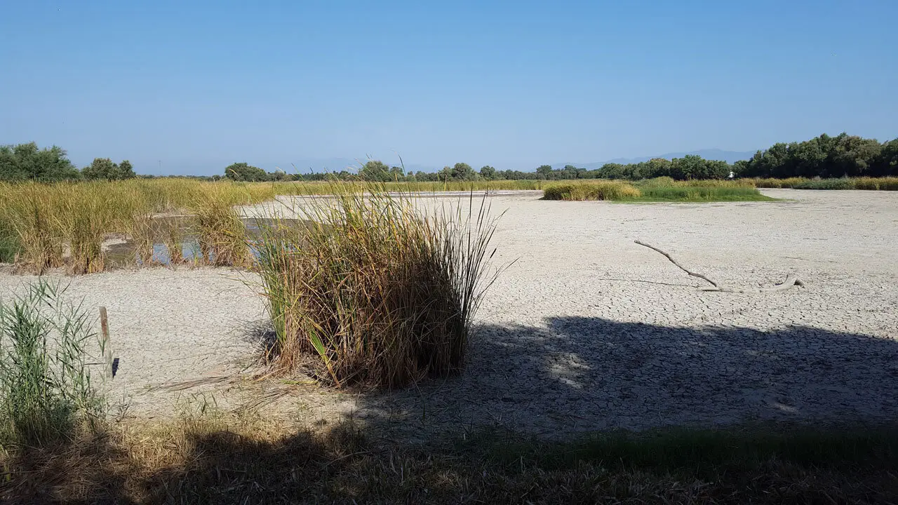 Estany Europa