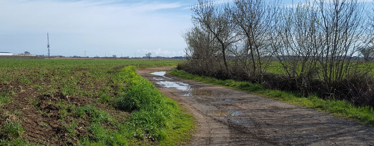 Camí de L’Escala