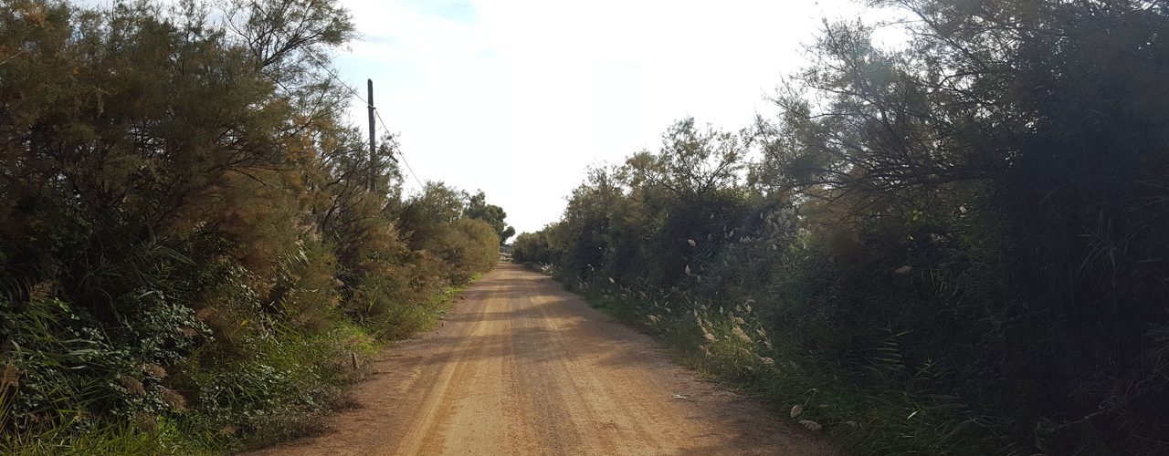 Camí a Sant Martí d’Empúries