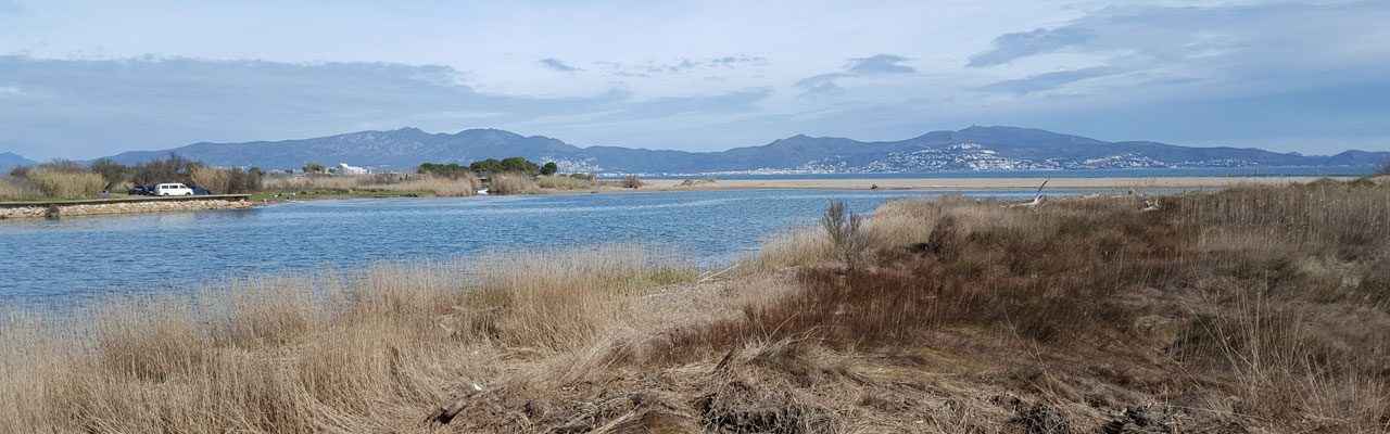 Desembocadura del Fluvià