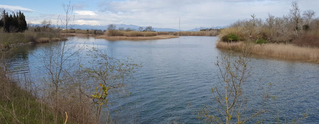 Meandre del riu Fluvià, amb l’Illa de Caramany al mig