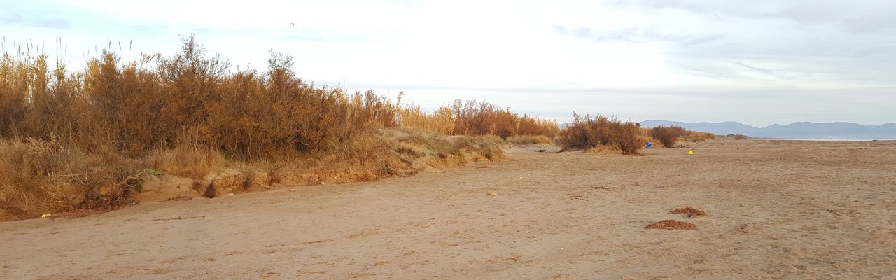 Dunes a la platja