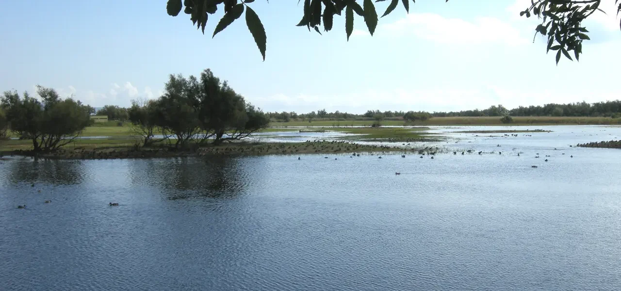 Estany del Cortalet