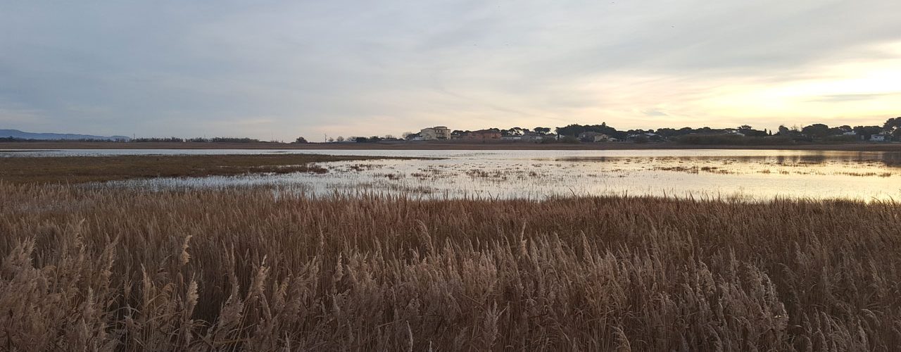 La Closa Tancada inundada