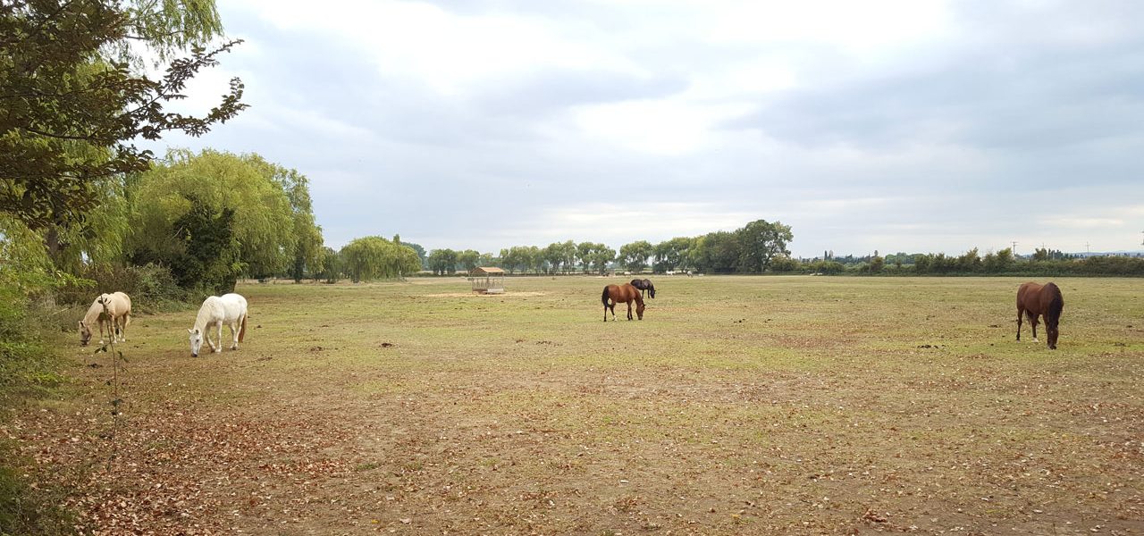 Closa amb cavalls