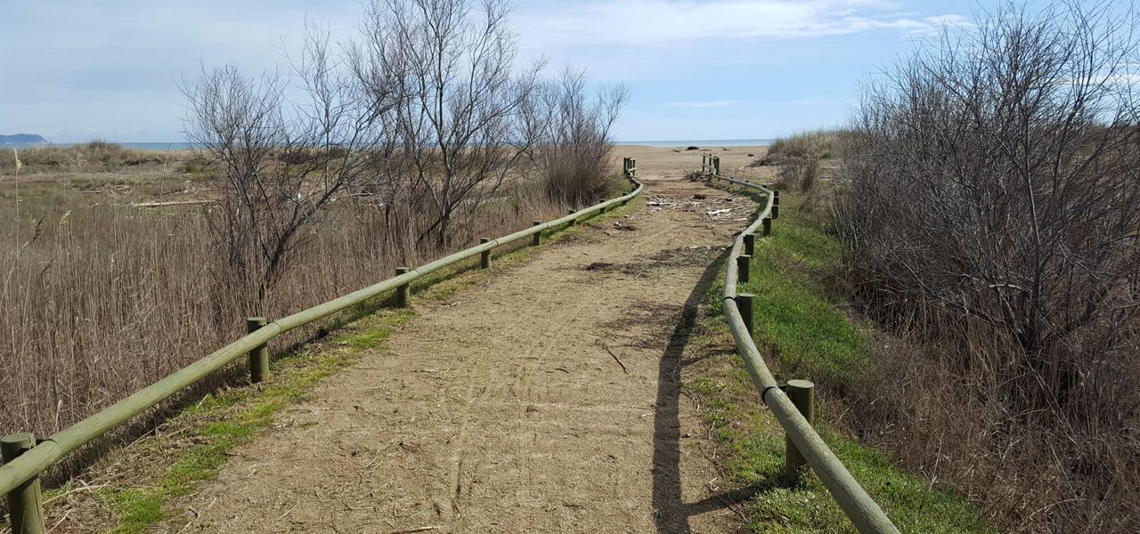 Camí d'accés a la platja